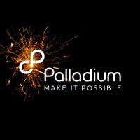 The palladium group
