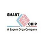 Smart chips