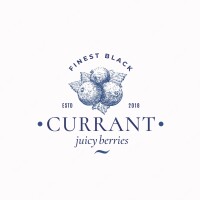 The black currant solutions