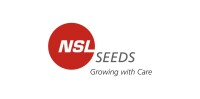 Nuziveedu seeds (nsl) group