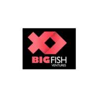 Big fish ventures