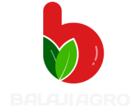 Balaji agro industries