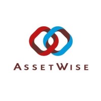 Asset Wise