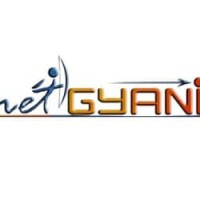 Net gyani it services private limited