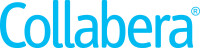 Collabera Inc., Morristown, NJ (USA)