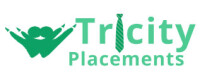 Tricity placements & hr solutions