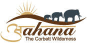 Aahana the corbett wilderness
