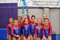 Vasi's International Gymnastics