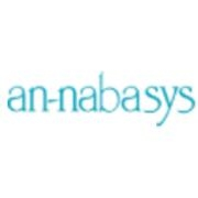 An-nabasys technology services