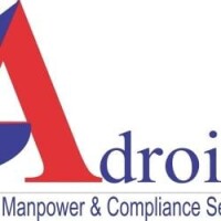 Adroit manpower services, noida