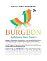 Burgeon market research