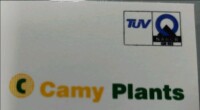 Camy plants