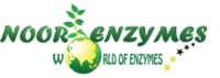Noor enzymes