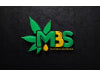 Mbs remedies limited