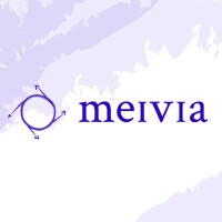 Meivia global services llp