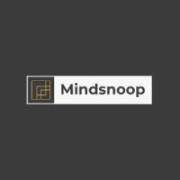 Mindsnoop marketing