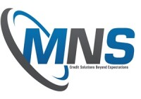 Mns securities limited