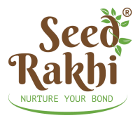 Rakhi & co., inc