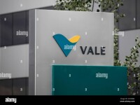 Sale vale