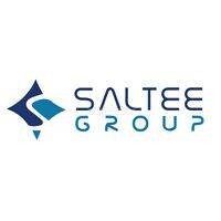 Saltee group