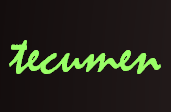 Tecumen business solutions pvt ltd