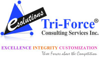 Triforce consulting ltd