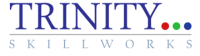 Trinity skillworks private limited