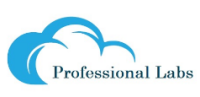 Professional Labs IT Education Pvt Ltd