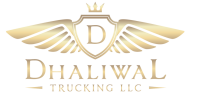Dhaliwal trans llc