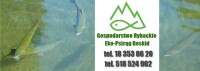 Eko-Pstrąg Beskid sp. z o.o.