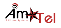Amtel systems