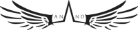 Anand systems engineering pvt. ltd. - india
