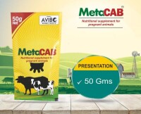 Avibo animal health