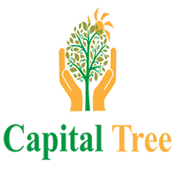 Capital tree financial solutions pvt. ltd.