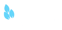 Disayana services