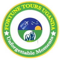 Fortune tours