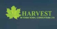 Hst futures consultants india