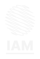 Iam - internet age media