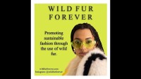 Groenewold Fur & Wool Co