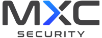 Maximus consulting