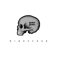 Mindscrub technologies