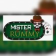 Mister games india pvt ltd
