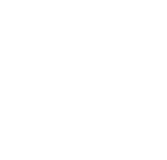 The raintree hotels