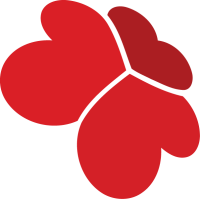 Redintegro consulting solutions