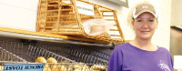 Kingwood Bagel & Sandwich Co