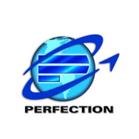 The perfection organization