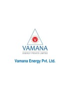 Vamana energy private limited