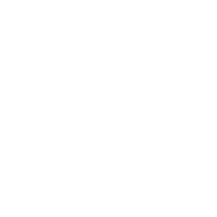 NPI Security Service