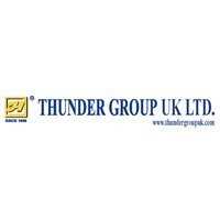 Thunder Group Inc