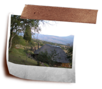 Oribi Mountain lodge